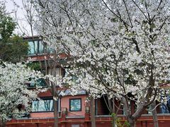 -河南省黄河迎宾馆