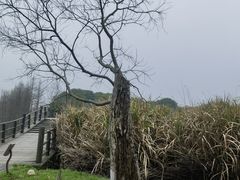 -苏州太湖国家湿地公园