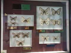 -上海昆虫博物馆