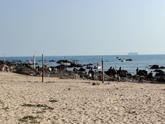 -西涌国际滨海旅游区