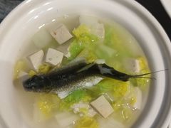 -老山东·山东菜(鲁菜名店)