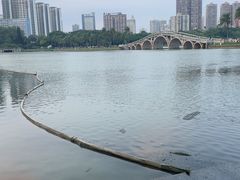 -南宁南湖公园