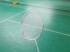 -东丽温泉羽毛球