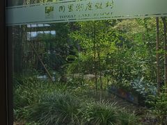 -同里湖度假村(二期店)