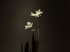 -安屿an·spa(卓悦中心商场店)