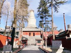 -五台山风景名胜区-罗睺寺