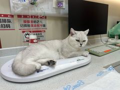 -御宝贝24h宠物医院·转诊中心·CT核磁血透中心(厦门总院)
