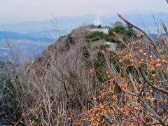 -香山公园