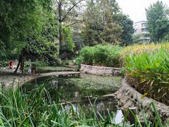 -成都市活水公园