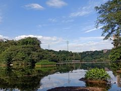 -重庆彩云湖湿地公园