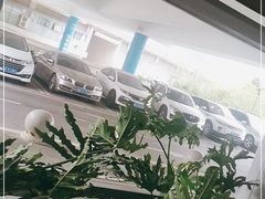-奥体中心游泳馆