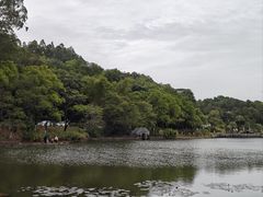 -三水森林公园