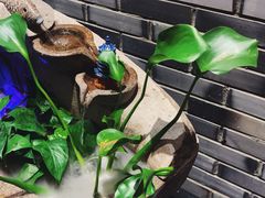 -黑鸡母杀牛匠火锅(崇文路店)