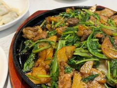 -枫林饺子