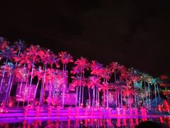 -三亚红色娘子军演艺公园景区