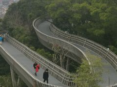 -福道
