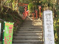 -岚山猴子公园