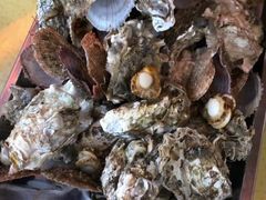 -天隆酒店·本地海鲜鲁菜(烟台大学店)