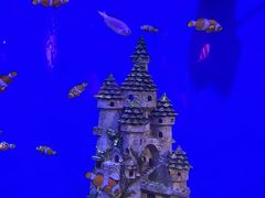 -海合安武汉极地海洋公园