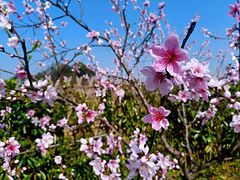 -常德桃花源景区