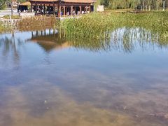 -张家湾公园