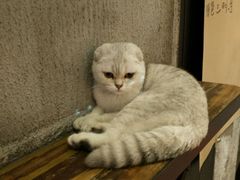 android_upload_pic-MIKAKU(万达广场上海宝山店)