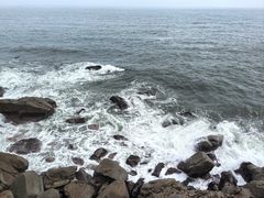 -广东惠东海龟国家级自然保护区