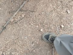 -青龙山国家森林公园
