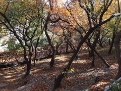 -长辛店二七公园