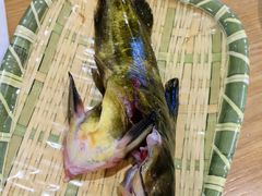 -铭记蛙小仙·活蛙畅享(CBD万达广场店)