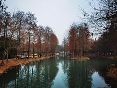 -西溪国家湿地公园