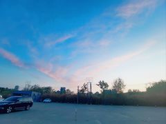 -枫花园汽车电影院(朝阳公园店)