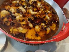 水煮鱼（鮰鱼斤）-正兴蜀园(科技园区店)