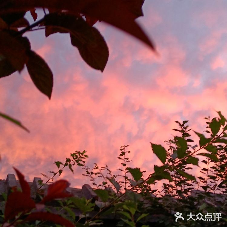 老妈今天早上拍的美丽的朝霞[愉快][强]