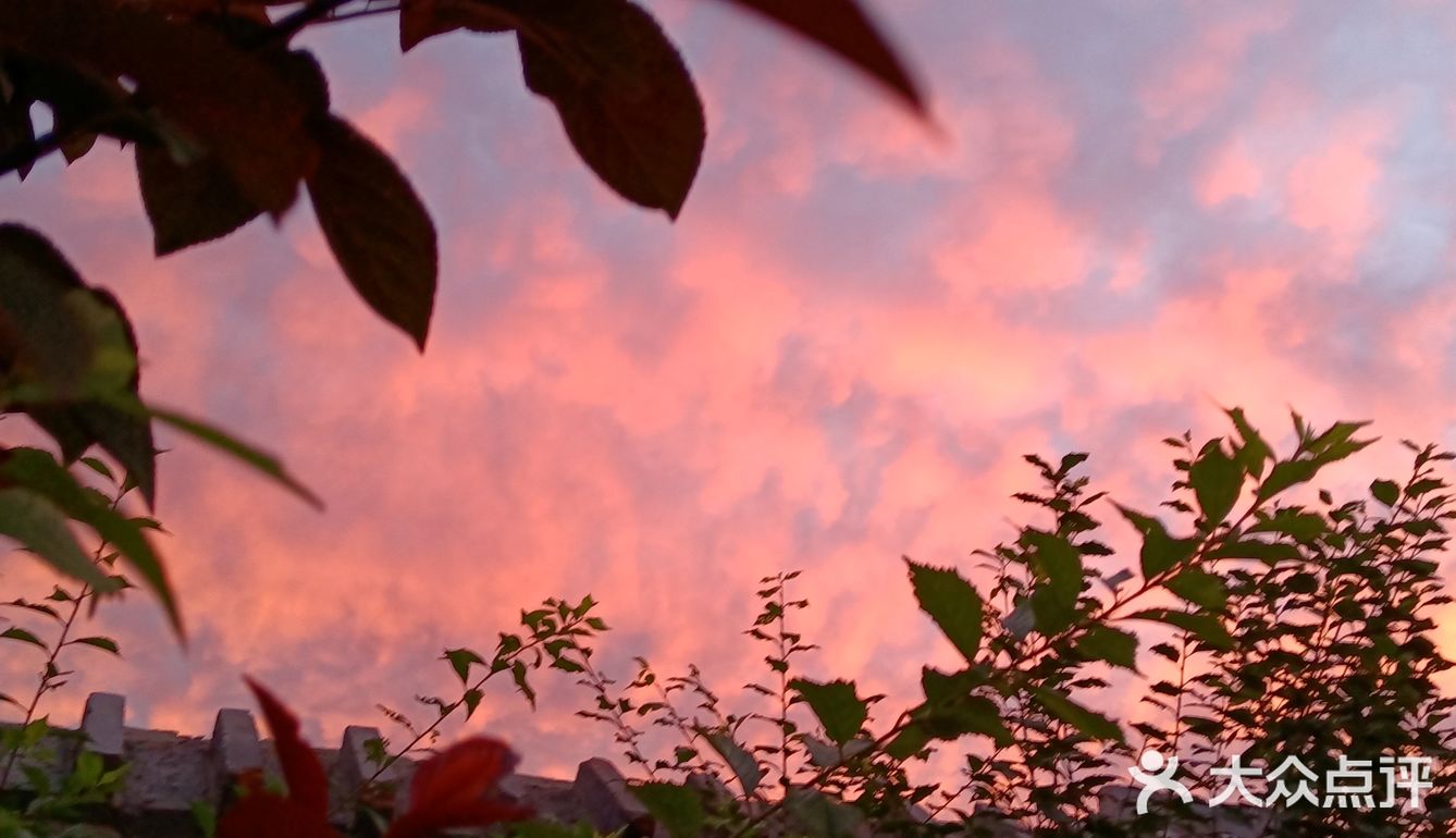 老妈今天早上拍的美丽的朝霞[愉快][强]