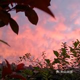 老妈今天早上拍的美丽的朝霞[愉快][强]