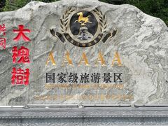 -大槐树寻根祭祖园