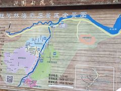-汤旺河林海奇石景区