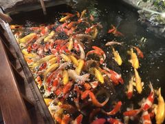 -顺德渔村·岭南一号