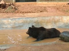 -昆明动物园