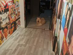 -肆兮眼镜·蔡司·徕卡战略合作店(大坪店)