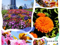 -上海山野camping·户外天幕烧烤·团建拓展营地