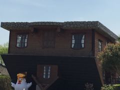 -金山农民画村-枫泾波兰倒置屋