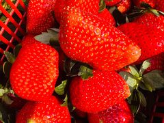 -南国桃园旅游度假区