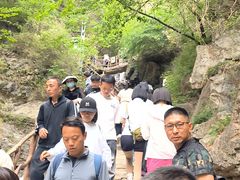 -狼牙山风景区