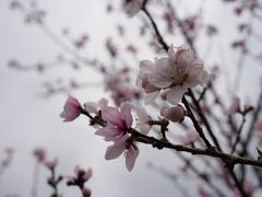 -贵阳市花溪国家城市湿地公园