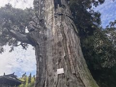 -云中大漈
