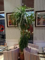 -爱儿美儿童摄影(五路居花园别墅店)
