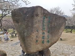 -香雪海