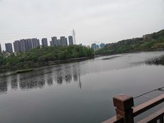 -重庆彩云湖湿地公园